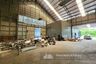 Warehouse / Factory for rent in Bang Phlap, Nonthaburi