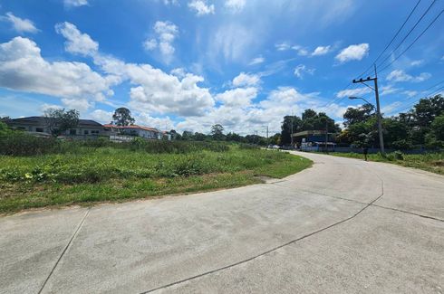 Land for sale in Nong Prue, Chonburi