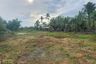 Land for rent in Nam Daeng, Chachoengsao