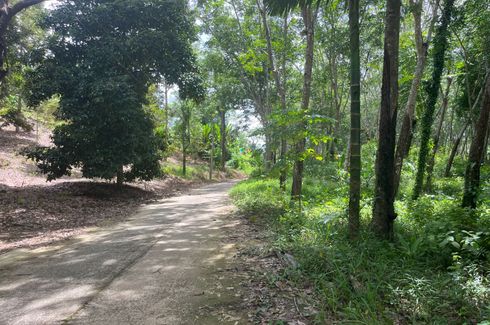 Land for sale in Tha Yu, Phang Nga