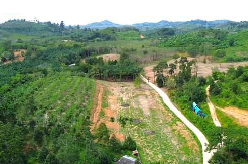 Land for sale in Tha Yu, Phang Nga