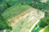 Land for sale in Tha Yu, Phang Nga