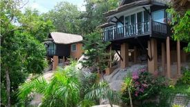 14 Bedroom Hotel / Resort for sale in Ko Tao, Surat Thani