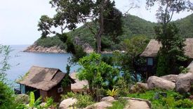 14 Bedroom Hotel / Resort for sale in Ko Tao, Surat Thani