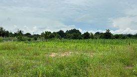 Land for sale in Nong Suea Chang, Chonburi