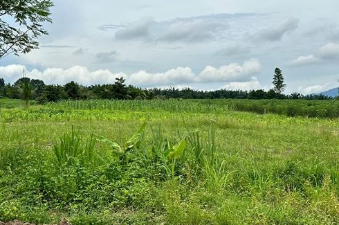 Land for sale in Nong Suea Chang, Chonburi