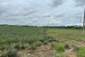 Land for sale in Nong Suea Chang, Chonburi