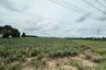 Land for sale in Nong Suea Chang, Chonburi