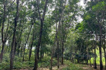 Land for sale in Tha Yu, Phang Nga