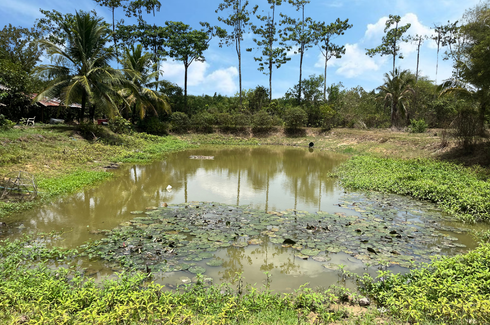 Land for sale in Na Toei, Phang Nga