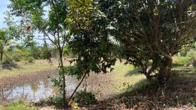 Land for sale in Na Toei, Phang Nga