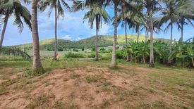 Land for sale in Nong Ta Taem, Prachuap Khiri Khan