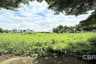 Land for sale in Dokmai, Bangkok