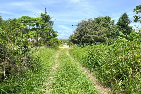 Land for sale in Khok Kloi, Phang Nga