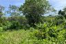 Land for sale in Khok Kloi, Phang Nga