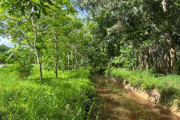 Land for sale in Bang Thong, Phang Nga