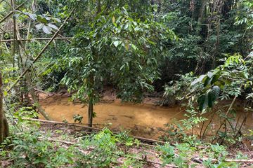 Land for sale in Bang Thong, Phang Nga