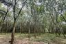 Land for sale in Bang Thong, Phang Nga