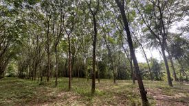 Land for sale in Bang Thong, Phang Nga