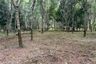 Land for sale in Bang Thong, Phang Nga