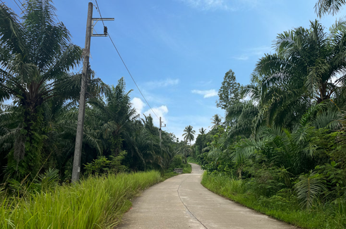 Land for sale in Tham, Phang Nga