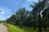 Land for sale in Tham, Phang Nga