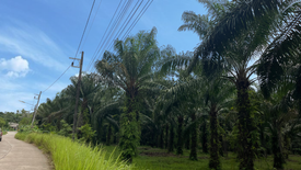 Land for sale in Tham, Phang Nga