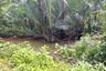 Land for sale in Tham, Phang Nga