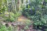 Land for sale in Tham, Phang Nga