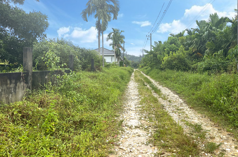 Land for sale in Khuekkhak, Phang Nga