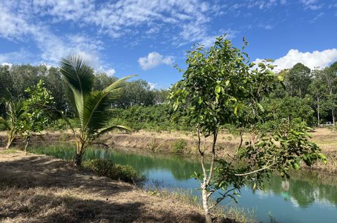 Land for sale in Na Toei, Phang Nga