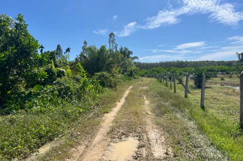 Land for sale in Na Toei, Phang Nga