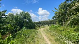 Land for sale in Na Toei, Phang Nga