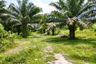 Land for sale in Ao Nang, Krabi