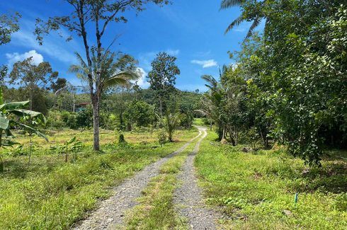 Land for sale in Lo Yung, Phang Nga