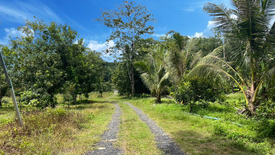 Land for sale in Lo Yung, Phang Nga