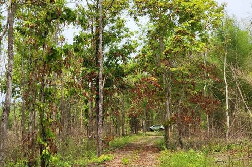 Land for sale in Mae Taeng, Chiang Mai