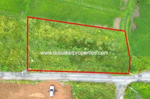 Land for sale in Choeng Doi, Chiang Mai