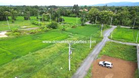 Land for sale in Choeng Doi, Chiang Mai