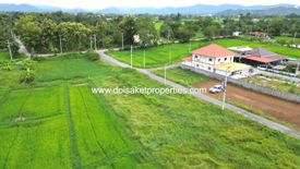 Land for sale in Choeng Doi, Chiang Mai