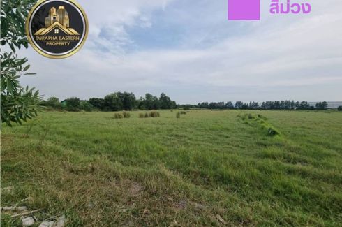 Land for sale in Nong Kakha, Chonburi