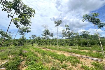 Land for sale in Bang Thong, Phang Nga