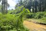 Land for sale in Bang Thong, Phang Nga