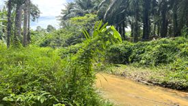 Land for sale in Bang Thong, Phang Nga