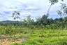 Land for sale in Bang Thong, Phang Nga