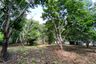 Land for sale in Sai Thai, Krabi