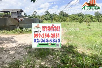 Land for sale in Tha Pradu, Rayong