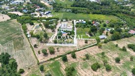 Land for sale in Nong Prue, Chonburi