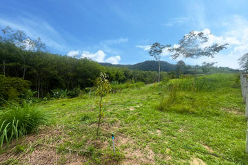 Land for sale in Bang Thong, Phang Nga