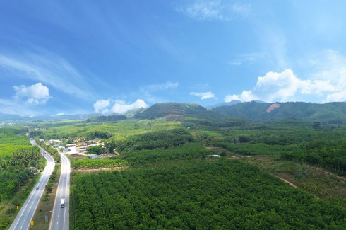 Land for sale in Kalai, Phang Nga